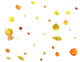 Bright autumn texture from falling natural leaves. png