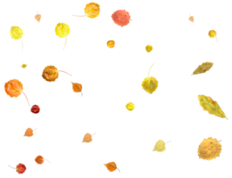 Bright autumn texture from falling natural leaves. png