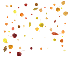 Bright autumn leaves. png