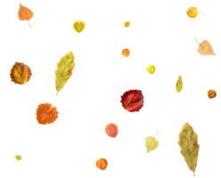 colorato autunno fondale di caduta le foglie png