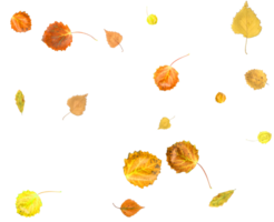 coloré l'automne toile de fond de chute feuilles png
