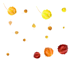 bunt Herbst Hintergrund von fallen Blätter png