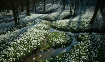 AI generated Forest covered with snowdrops. Early spring landscape photo