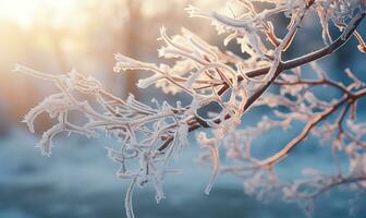 AI generated Hoarfrost on the branches of a tree. Winter landscape. photo