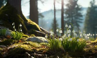 AI generated Beautiful snowdrop flowers growing in forest, closeup. Early spring. Selective focus, bokeh light photo