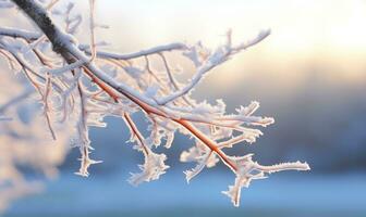 AI generated Hoarfrost on the branches of a tree. Winter landscape. photo