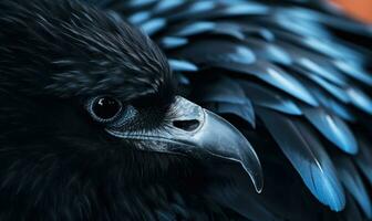 ai generado retrato de un negro cuervo con negro ojos cerca arriba. foto