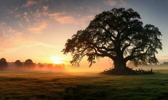 ai generado un majestuoso árbol soportes en un sereno rural paisaje bañado en el calentar ligero de amanecer, con niebla rodeando el zona foto