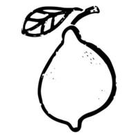 a black and white drawing of a lemon vector