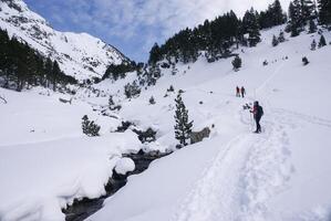 Skiing, winter, skiers on ski run, mountain Pyrenees photo