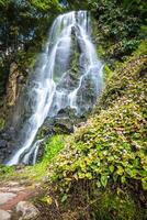 Famous cascade at Sao Miguel Island,Azores,Portugal photo