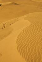 Las Dunas de Maspalomas at Gran Canaria photo