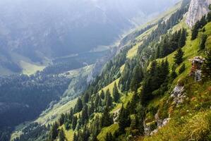 Cliffs covered with trees near Ebenalp, Switzerland photo