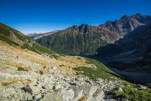 Mountain landscape in Tatra mountain national park,Zakopane,Poland. photo