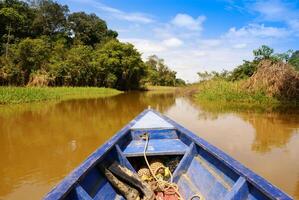 On the way of going fishing in Amazon jungle river, during the late of afternoon, in Brazil. photo