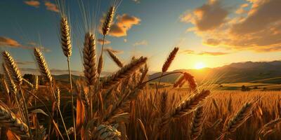 ai generado trigo campos con un hermosa puesta de sol vista. generativo ai foto