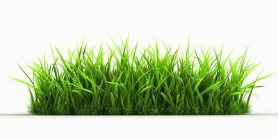 AI generated Fresh Green Grass Isolated on White Background. Generative AI photo