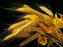 AI generated Yellow Wheat Ears Isolated on Black Background. Wheat Grains. Generative AI photo