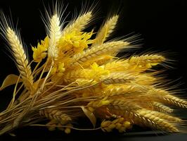 AI generated Yellow Wheat Ears Isolated on Black Background. Wheat Grains. Generative AI photo