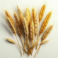 AI generated Close up of Wheat Ears Isolated on White Background. Wheat Grain. Generative AI photo