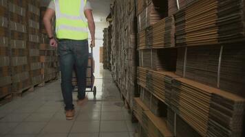 männlich Arbeiter Tragen Kisten beim das Versand Warenhaus video