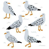 Seagull cartoon set vector