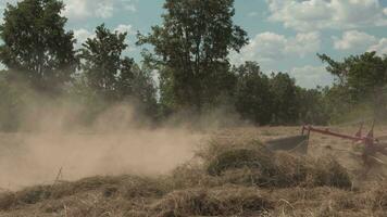 traktor klippning gräs för lantbruk i de jordbruks industri video