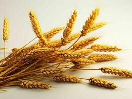 AI generated Close up of Wheat Ears Isolated on White Background. Wheat Grain. Generative AI photo