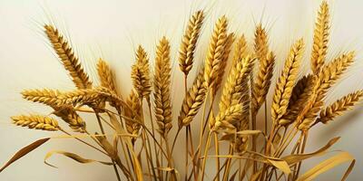 AI generated Close up of Wheat Ears Isolated on White Background. Wheat Grain. Generative AI photo