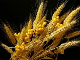 AI generated Yellow Wheat Ears Isolated on Black Background. Wheat Grains. Generative AI photo