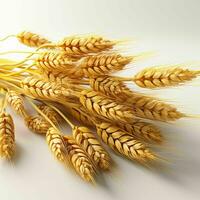 AI generated Close up of Wheat Ears Isolated on White Background. Wheat Grain. Generative AI photo