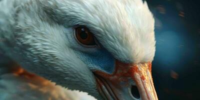 ai generado cerca arriba de un blanco cisne con hermosa ojos. generativo ai foto