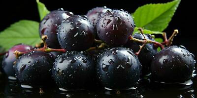 AI generated Fresh Acai Berry with Water Droplets Isolated on a Black Background. Euterpe oleracea. Generative AI photo