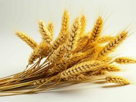 AI generated Close up of Wheat Ears Isolated on White Background. Wheat Grain. Generative AI photo