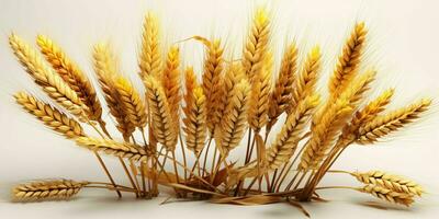 AI generated Close up of Wheat Ears Isolated on White Background. Wheat Grain. Generative AI photo