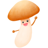 hand drawn cute Orinji mushroom illustration , vegetable collection  . png