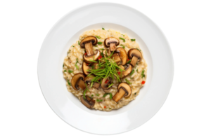 AI generated Mushroom Risotto on a White Plate on Transparent Background. png