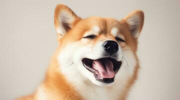 ai generado shiba inu perro pega fuera lengua, minimalista fotografía foto