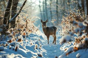 ai generado un ciervo caminando en un nieve durante amanecer foto