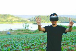 Young smart famer use the VR mask's core data network reality checking the quality of tobacco leaves in a tobacco plantation in Thailand. photo