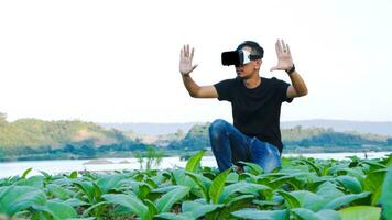 Young smart famer use the VR mask's core data network reality checking the quality of tobacco leaves in a tobacco plantation in Thailand. photo