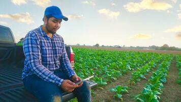 Asian young farmers and tobacco agriculturist utilize the core data network in the Internet from the tablet to validate, test in a tobacco field. photo