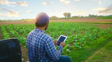 asiático joven agricultores y tabaco agricultor utilizar el núcleo datos red en el Internet desde el tableta a validar, prueba en un tabaco campo. foto