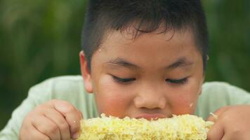 asiático niño comiendo Fresco maíz a maíz jardín. foto