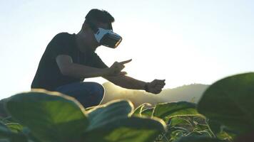 Young smart famer use the VR mask's core data network reality checking the quality of tobacco leaves in a tobacco plantation in Thailand. photo