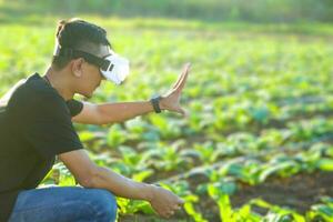 Young smart famer use the VR mask's core data network reality checking the quality of tobacco leaves in a tobacco plantation in Thailand. photo