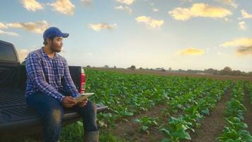 asiático joven agricultores y tabaco agricultor utilizar el núcleo datos red en el Internet desde el tableta a validar, prueba en un tabaco campo. foto