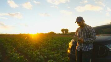 Asian young farmers and tobacco agriculturist utilize the core data network in the Internet from the tablet to validate, test in a tobacco field. photo