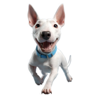 AI generated 3d style, Cute cartoon style Bull Terrier dog fun and runing.isolated transparent background. ai generative png