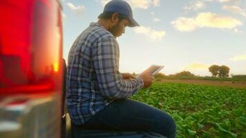 Asian young farmers and tobacco agriculturist utilize the core data network in the Internet from the tablet to validate, test in a tobacco field. photo